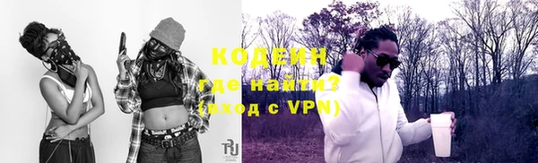 индика Горно-Алтайск