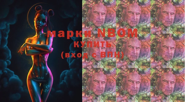 твердый Горнозаводск