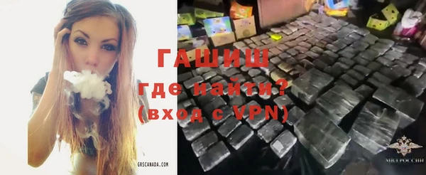 индика Горно-Алтайск