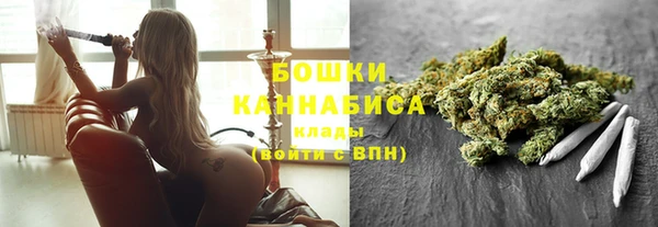 твердый Горнозаводск