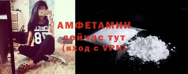 метадон Горняк