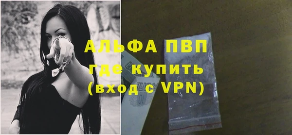 индика Горно-Алтайск