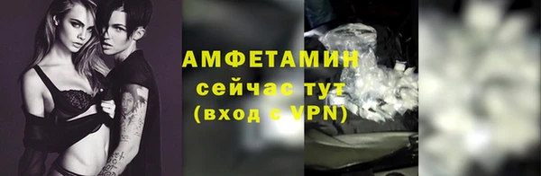 индика Горно-Алтайск