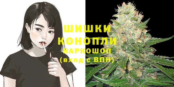 твердый Горнозаводск