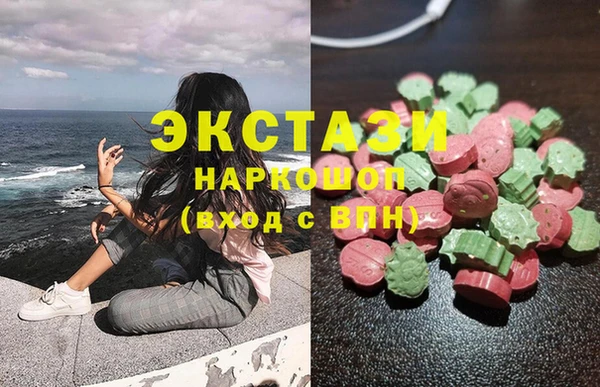 индика Горно-Алтайск