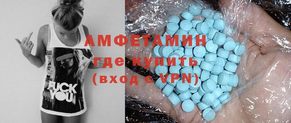 индика Горно-Алтайск