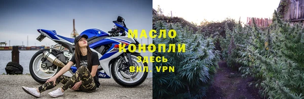 индика Горно-Алтайск