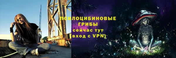 твердый Горнозаводск