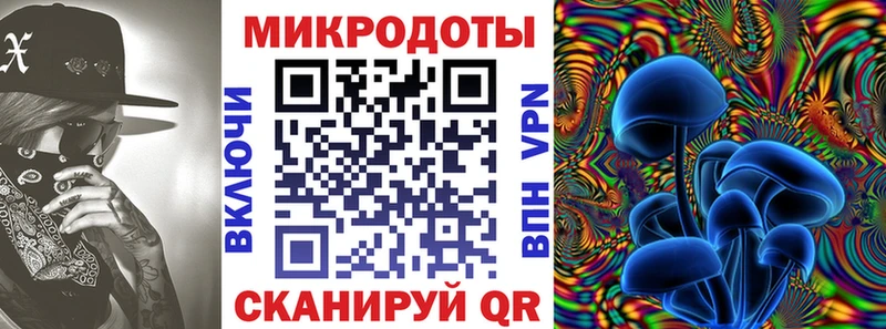 сколько стоит  Химки  Галлюциногенные грибы Magic Shrooms 